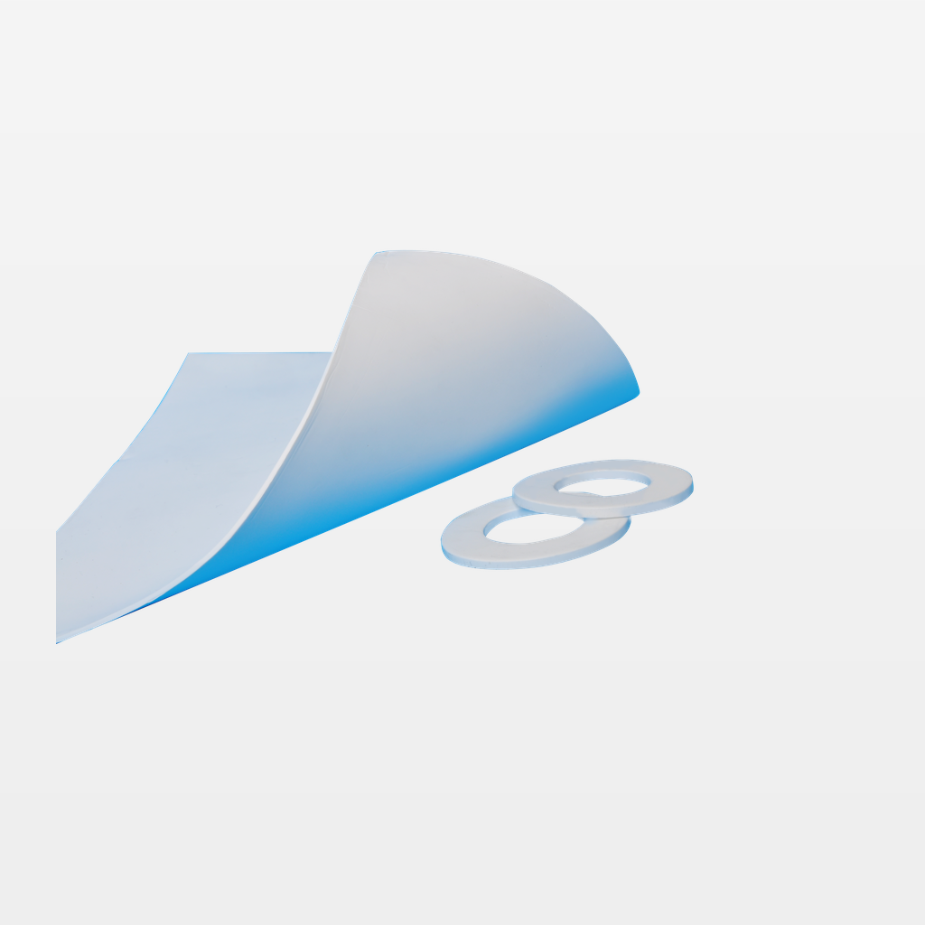 Expanded PTFE Gasket