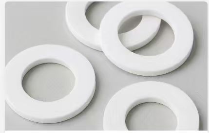 Expanded PTFE Gasket